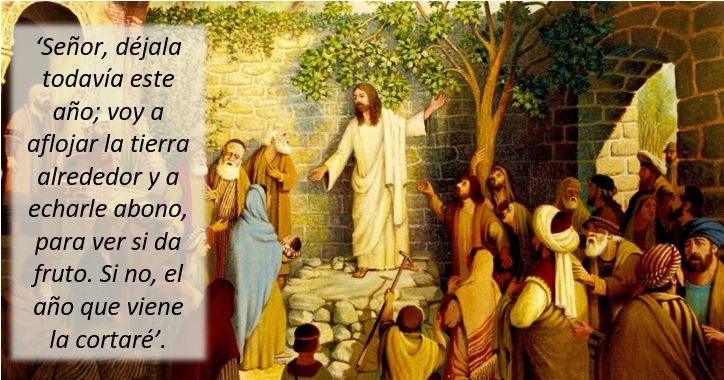 evangelio del domingo